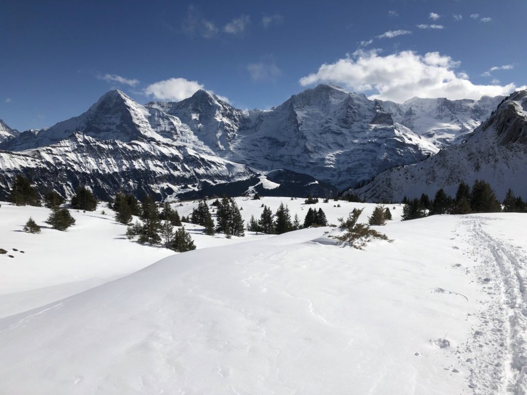 Winterimpression Eiger, Mönch und Jungfrau