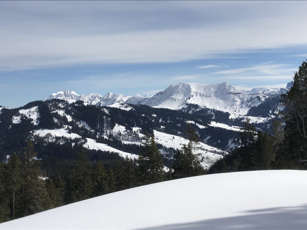 Schneeschuhtour im Hohgant mit Berner Alpen im Hintergrund